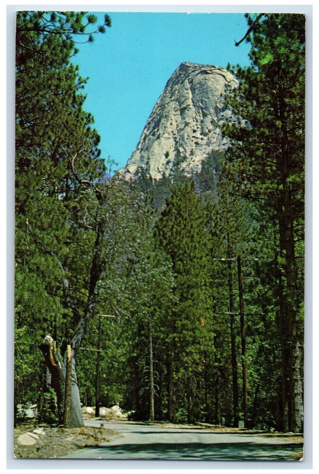 1960 Tahquitz Pines C. E. Camp Lily Rock Scene Idyllwild California CA Postcard