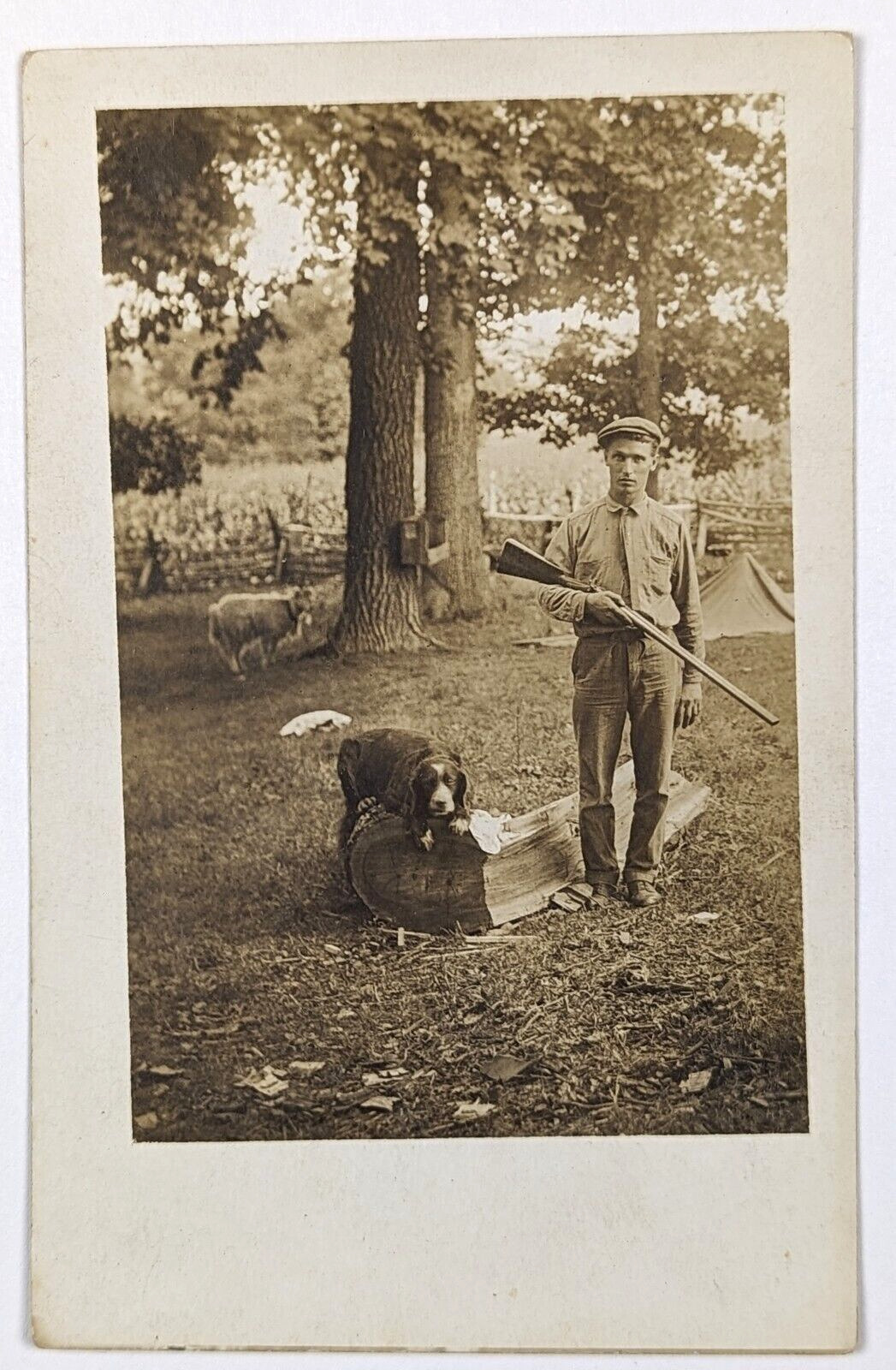 Hunter & Dog RPPC Man Hunting Double-Barreled Shotgun Postcard Photograph 1910s