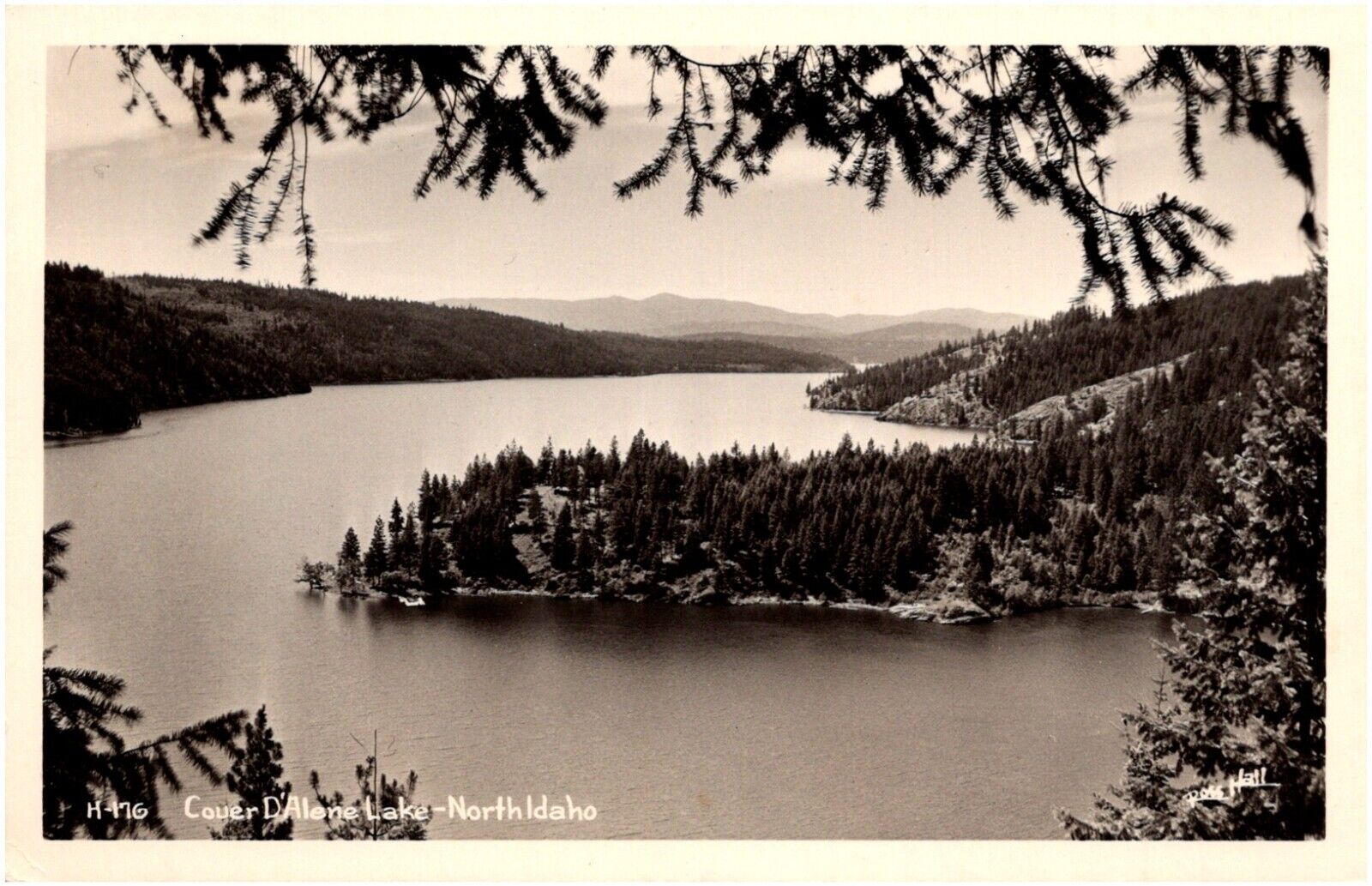 Coeur d\'Alene Lake & Forest Aerial View Idaho ID 1940s RPPC Postcard Ross Hall