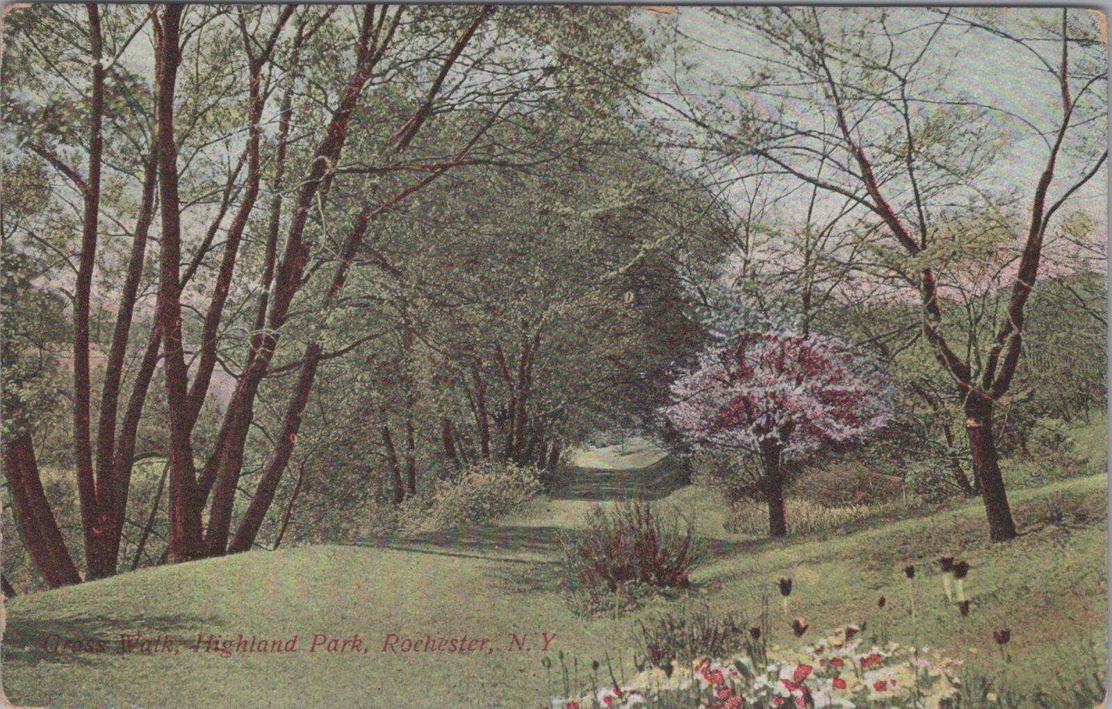 Grass Walk Highland Park Rochester New York 1911 Postcard