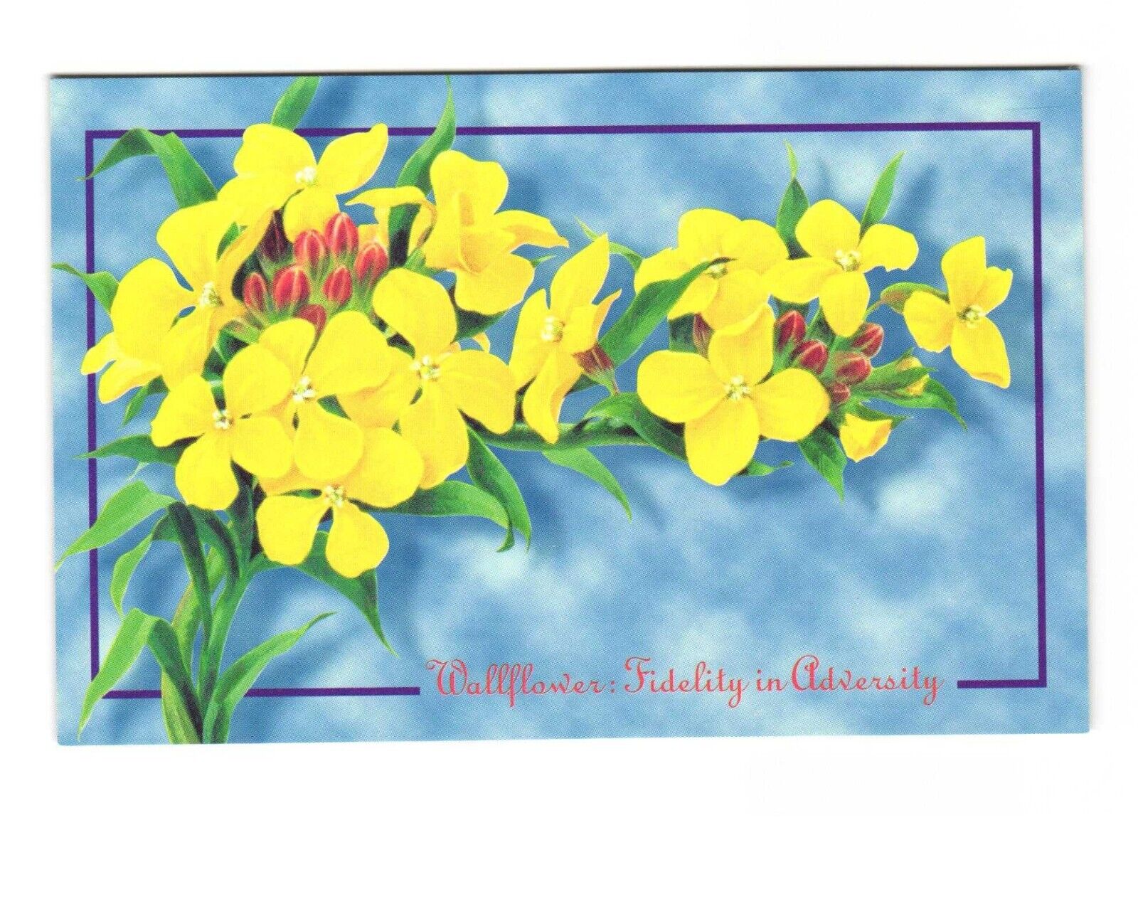 Wallflower: Fidelity In Adversity - Floral Postcard Collection