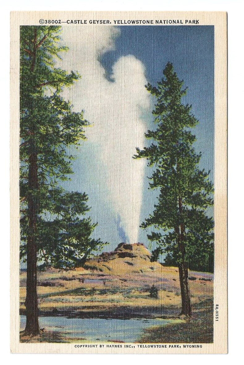 Yellowstone WY Postcard Castle Geyser