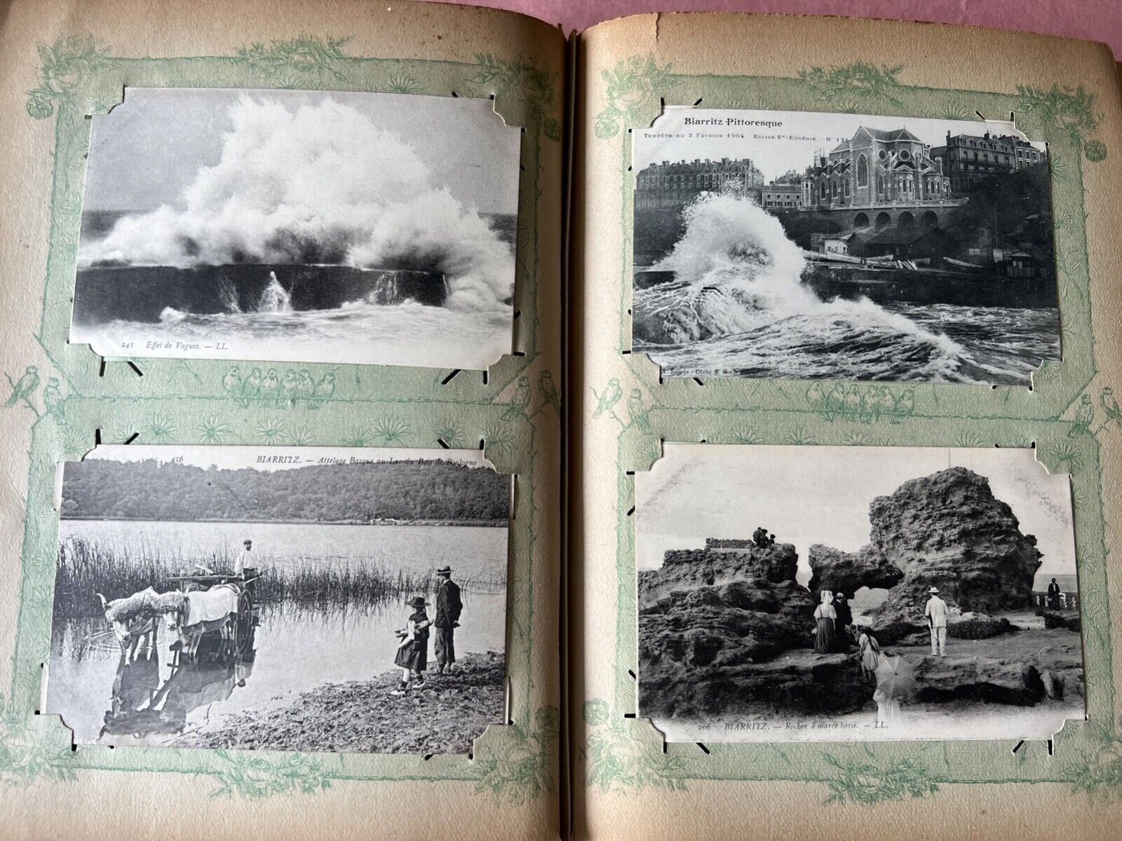 circa 1900 French Photo Album Pyrenean Region, Atlantic Coast approx. 312 B&W