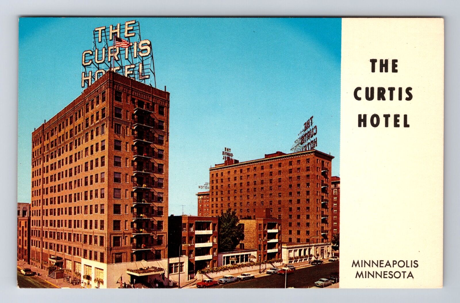 Minneapolis MN-Minnesota, The Curtis Hotel, Advertisement, Vintage Postcard
