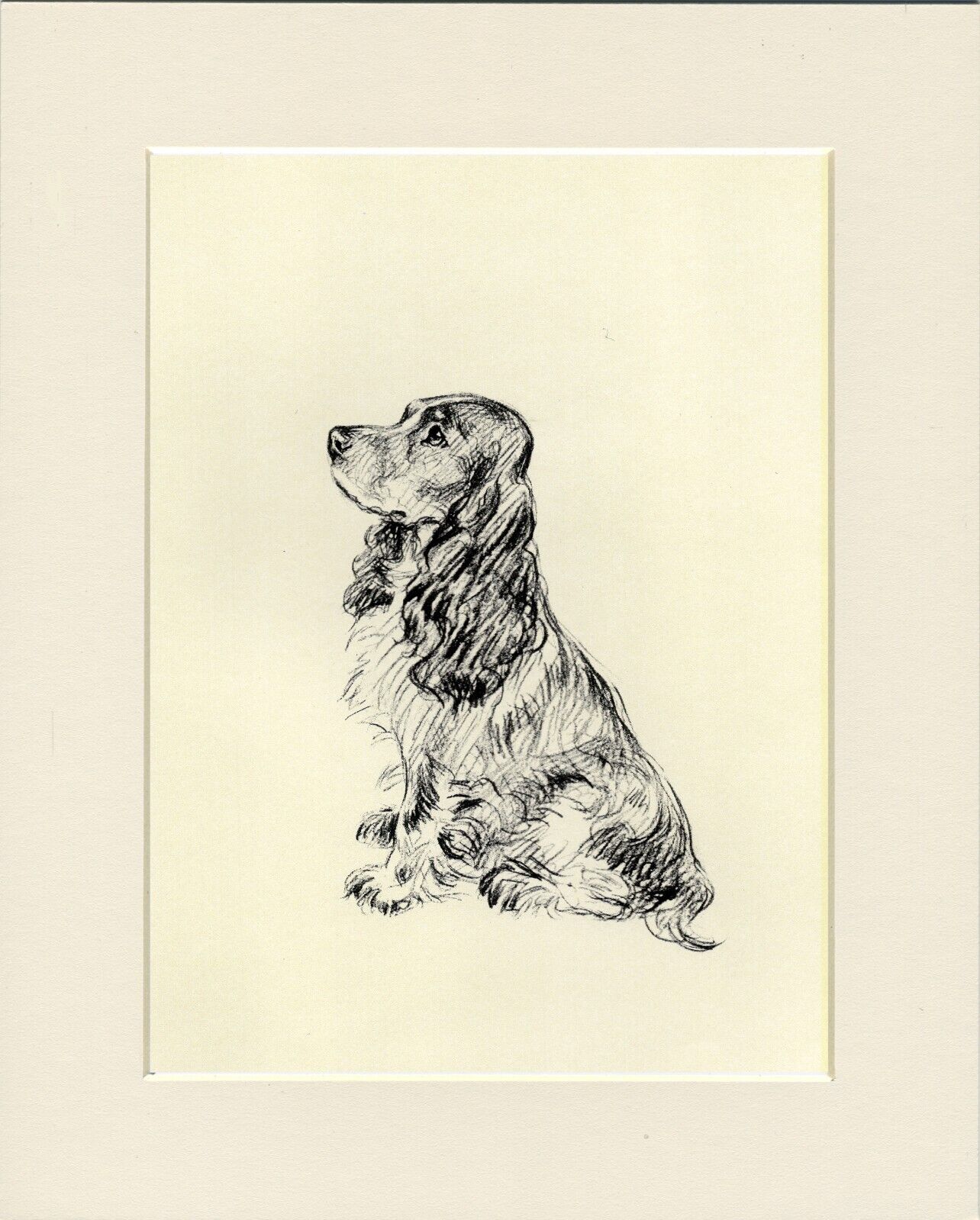 COCKER SPANIEL LOVELY 1937 DOG ART PRINT by MAC LUCY DAWSON READY MOUNTED
