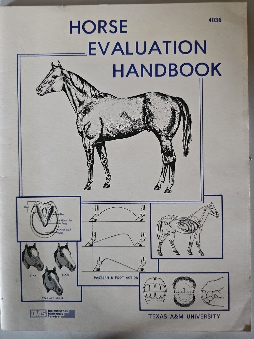 Horse Evaluation Handbook 4036 Texas A&M University Equine Horses RARE