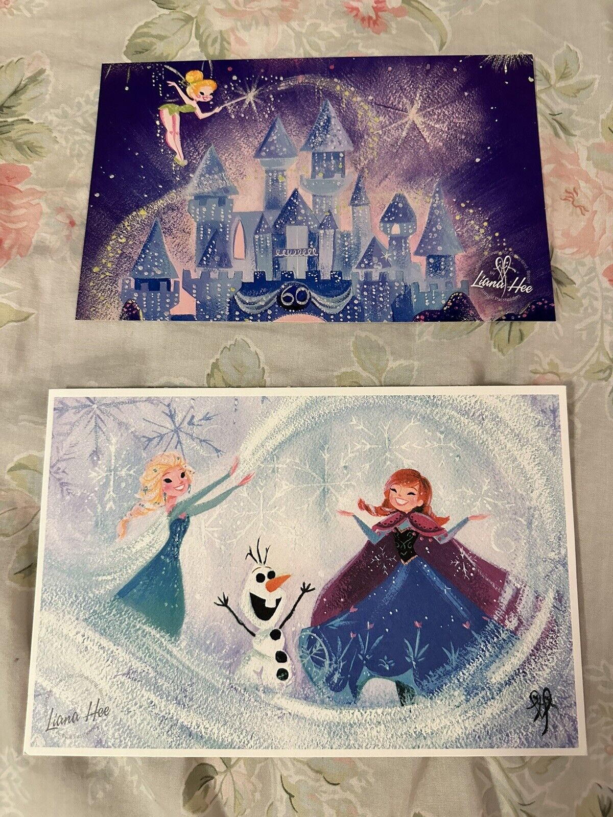 Disneyland Liana Hee FROZEN and Castle Art Card Print  Pass Holder Exclusive