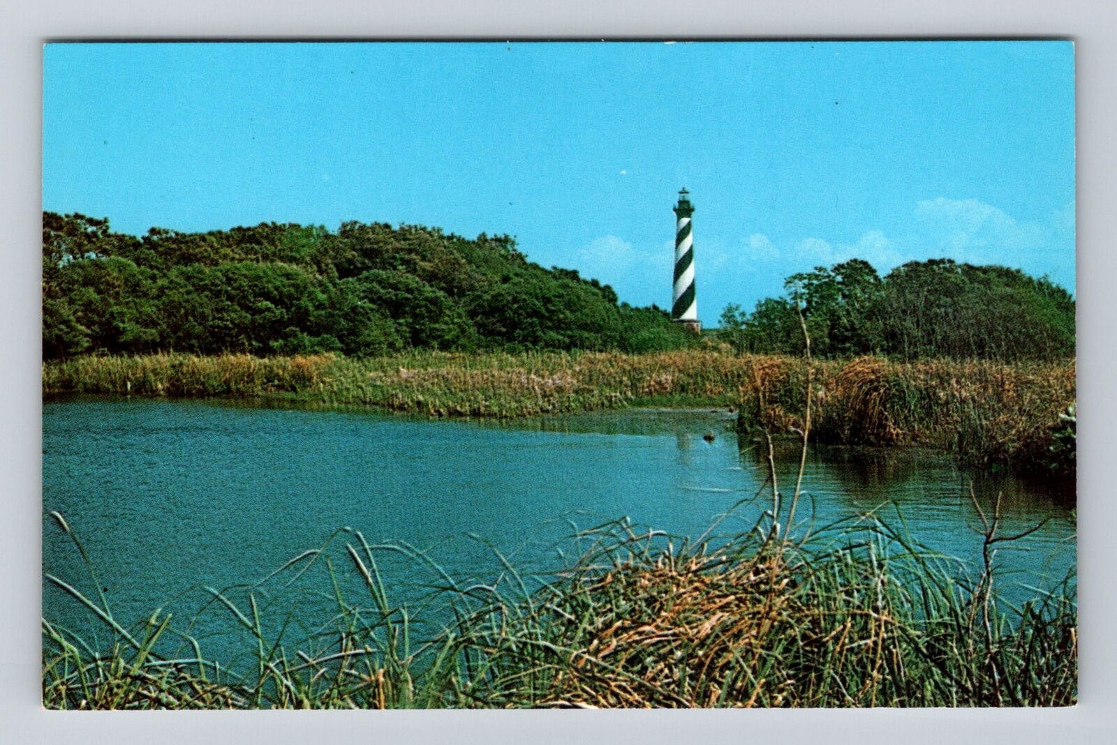 Buxton NC-North Carolina, Panoramic View Cape Hatteras Light, Vintage Postcard