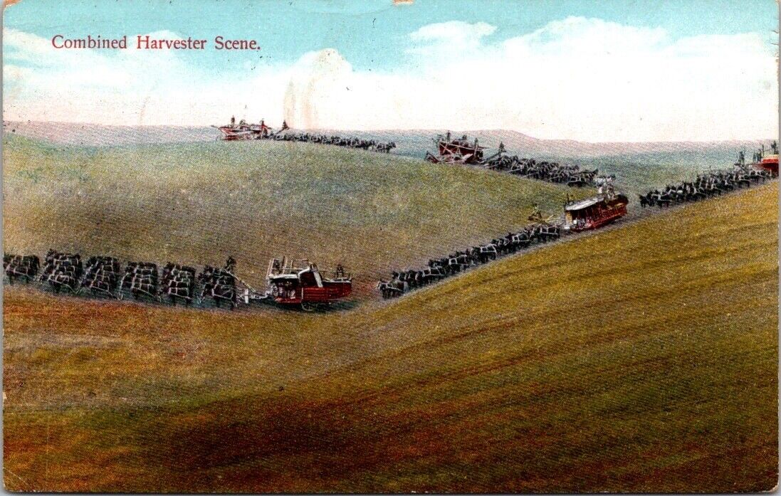 Postcard of Combined Harvester Scene posted to Ashland Ohio  possibly in 1911