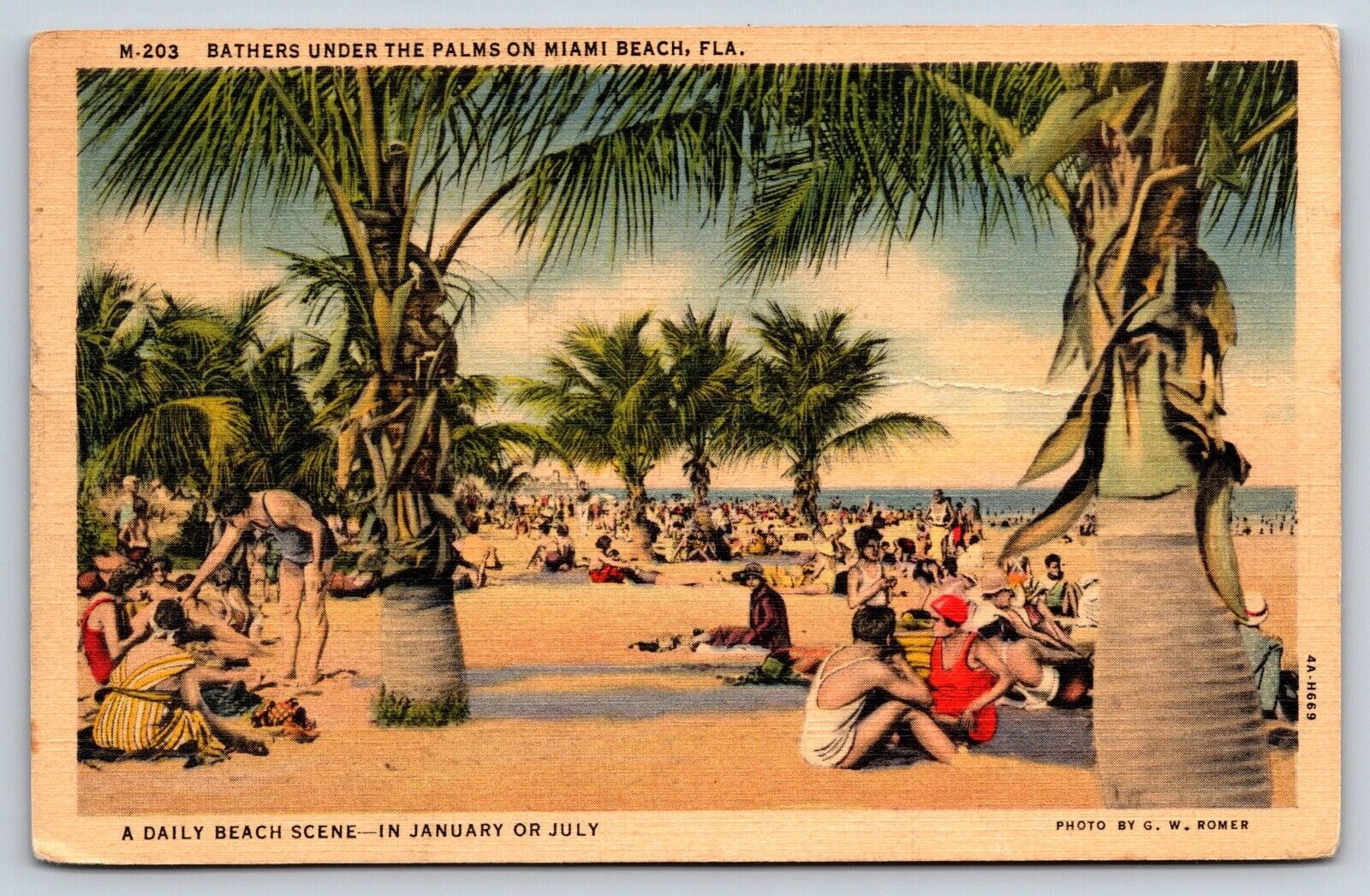Miami Beach Florida Vintage Postcard
