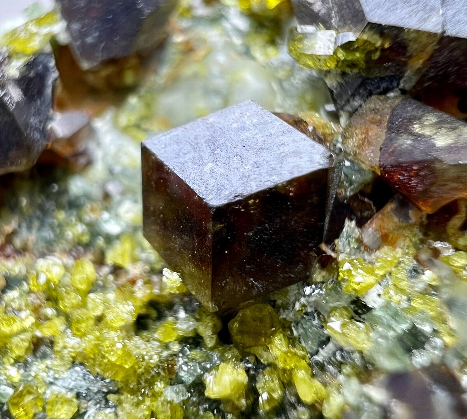 Top Andradite Garnet Crystals With Vesuvianite On Matrix. Skardu, PAK 73 GM.