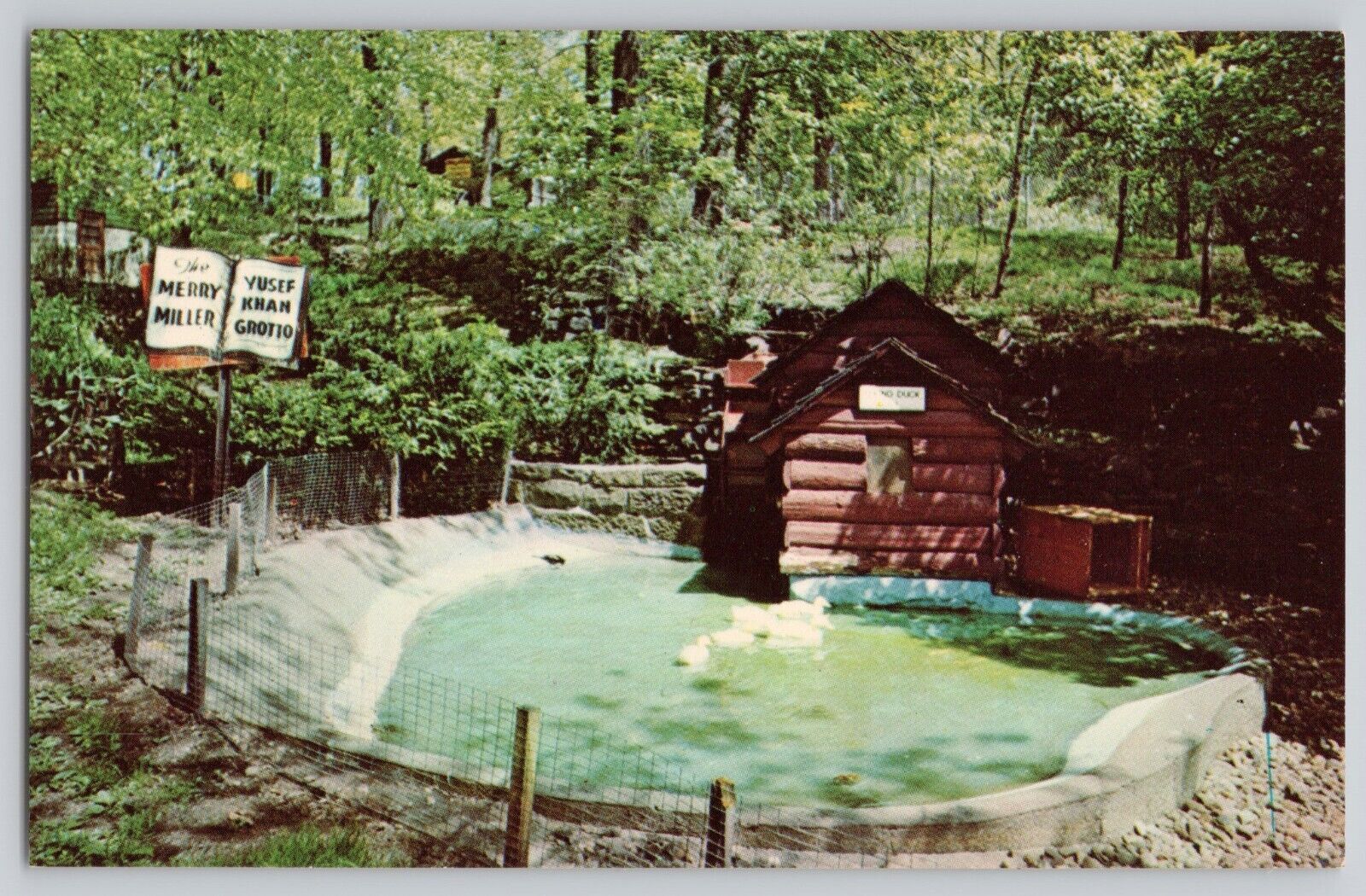 Children\'s Zoo Akron Ohio Chrome Postcard, Advertising \