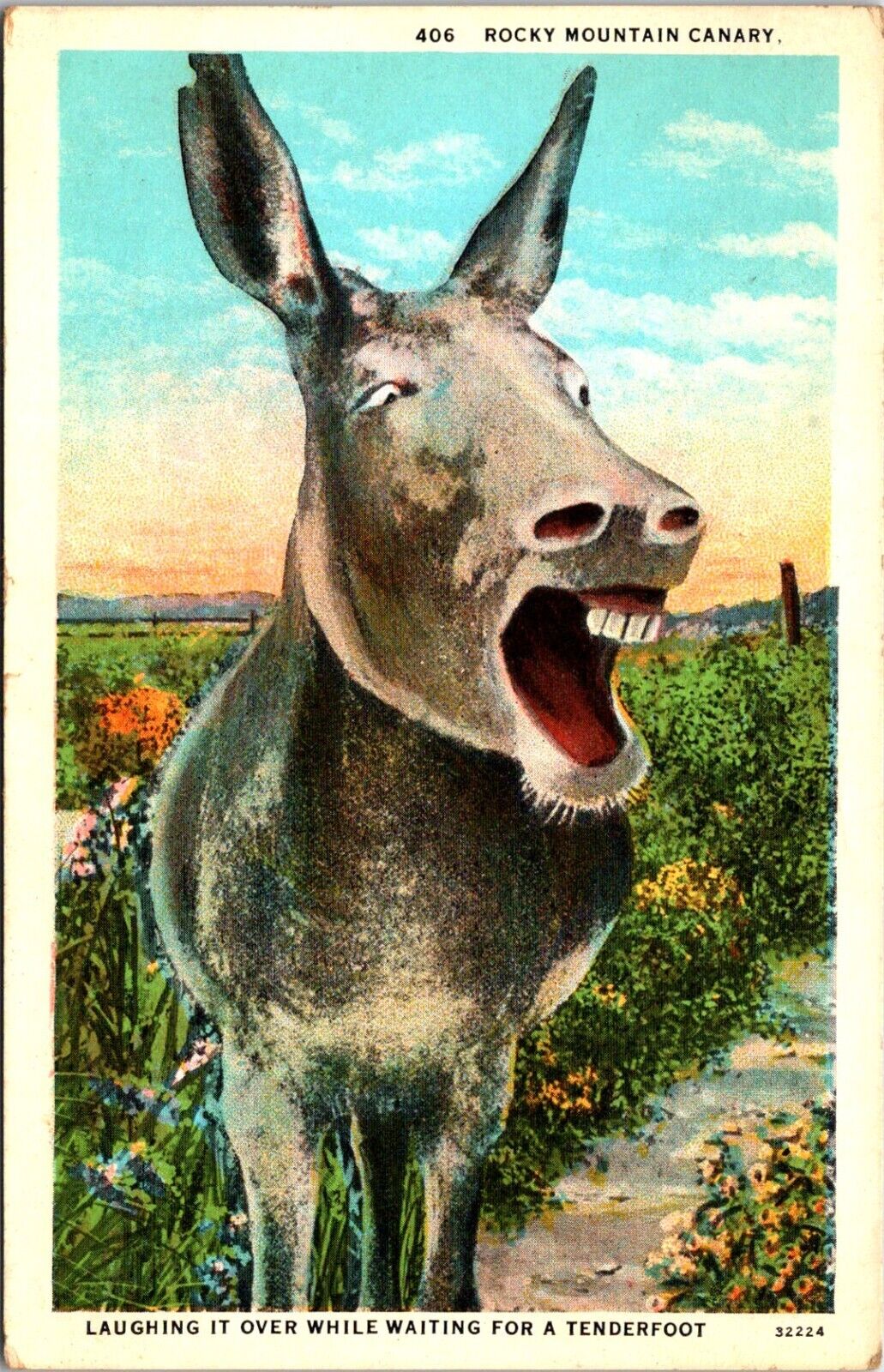 Postcard Rocky Mountain Canary Burro Laughing Waiting Tenderfoot B41