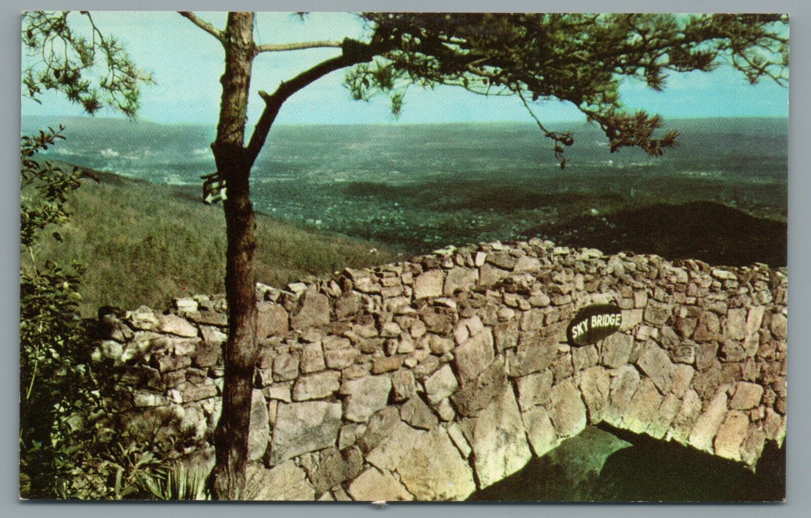Sky Bridge, Rock City Gardens, Lookout Mountain 1960s Vintage Postcard