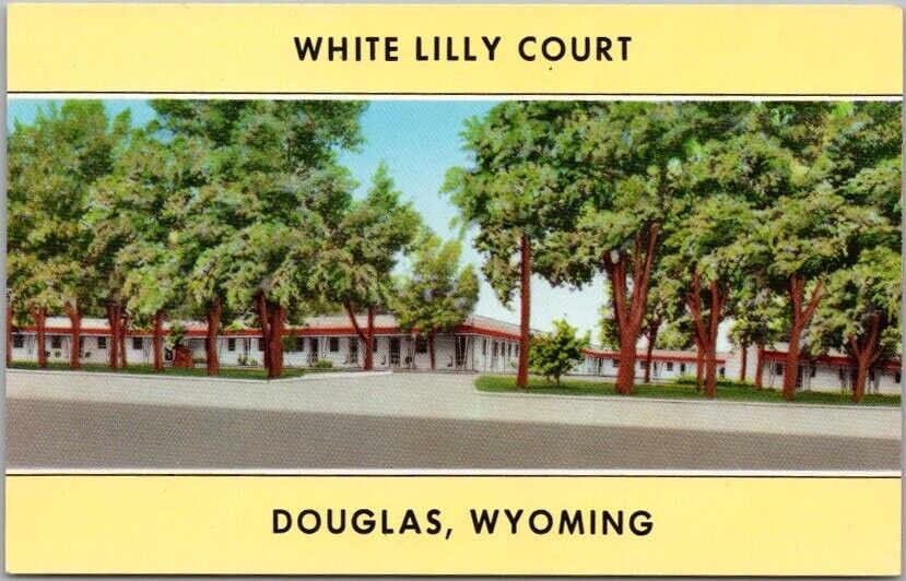 1950s DOUGLAS, Wyoming Postcard WHITE LILLY COURT Motel / Highway 20 Roadside
