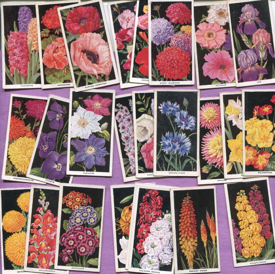 1936 CARRERAS LTD CIGARETTE FLOWERS AMATEUR GARDENING 25 DIFFERENT TOBACCO CARDS