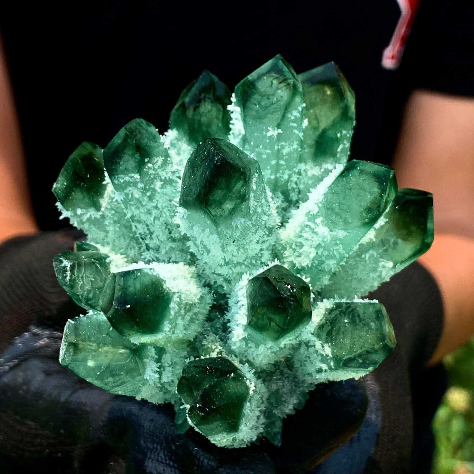 269G New Find green  PhantomQuartz Crystal Cluster MineralSpecimen 708