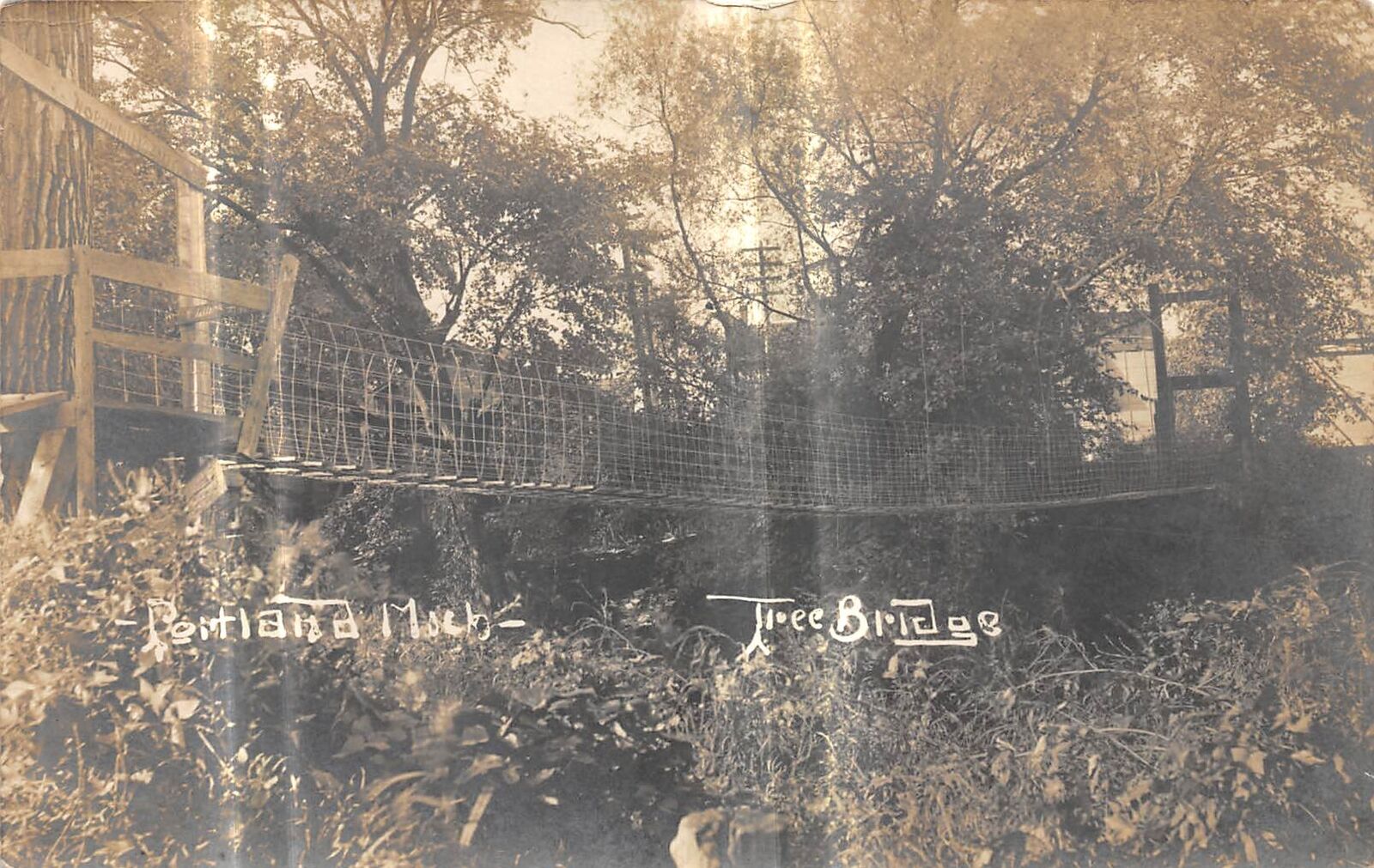 PORTLAND Michigan RPPC postcard Ionia County Tree Bridge 1908
