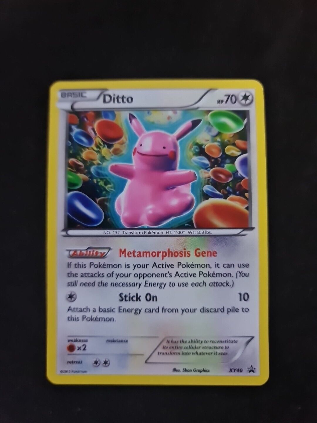 Pokemon Card - Ditto XY40