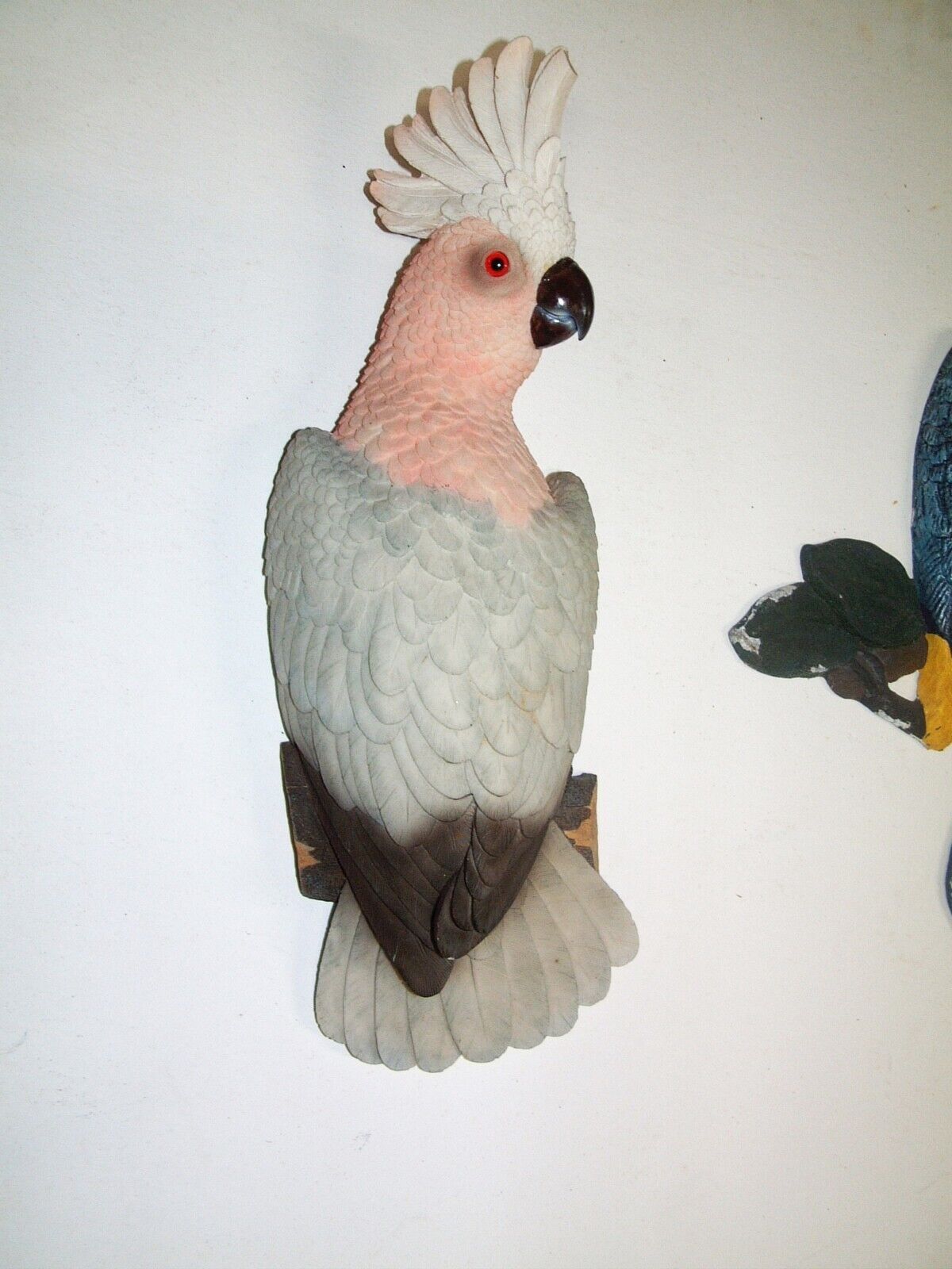 1950\'s Vintage tropical Parrot, Large size, Plaster, Wall Hanger 15 X 5 X 4