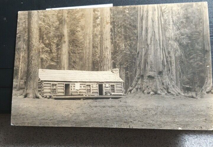 Yosemite Ca photo Redwood trees curio log cabin rppc