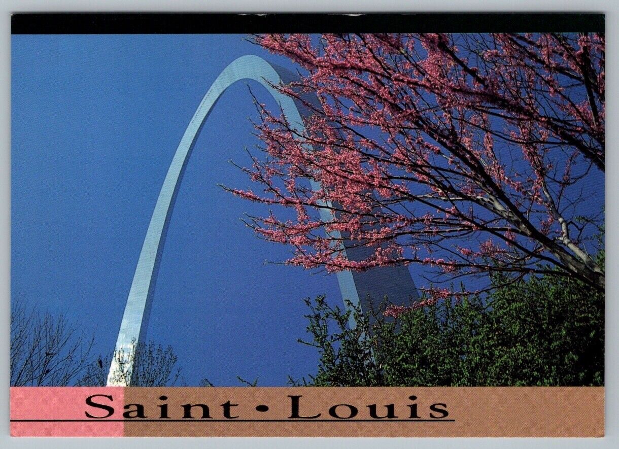 Postcard Saint Louis Missouri Gateway Arch