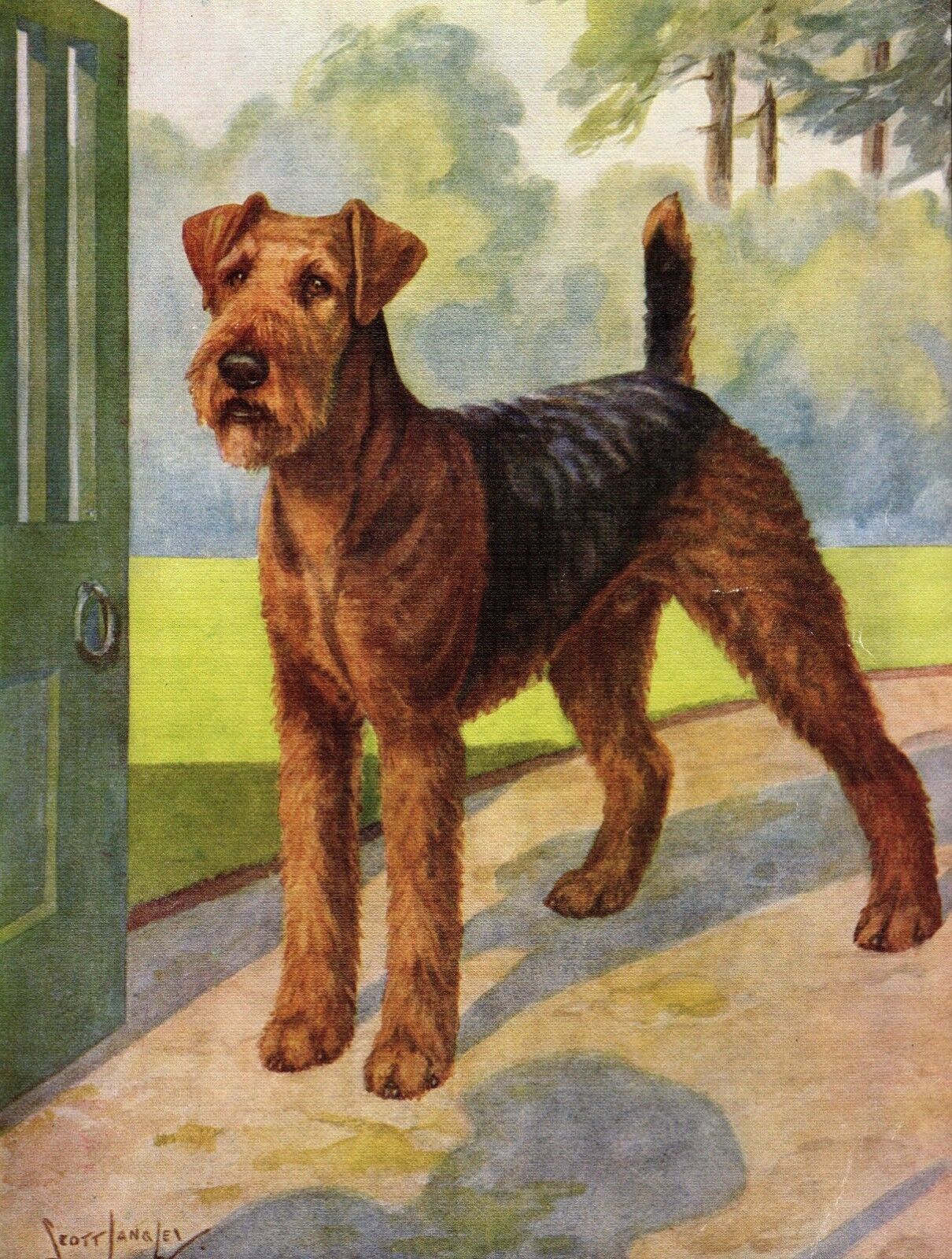 1930s Antique Airedale Terrier Print Nina Scott Langley Airedale Art 5079r