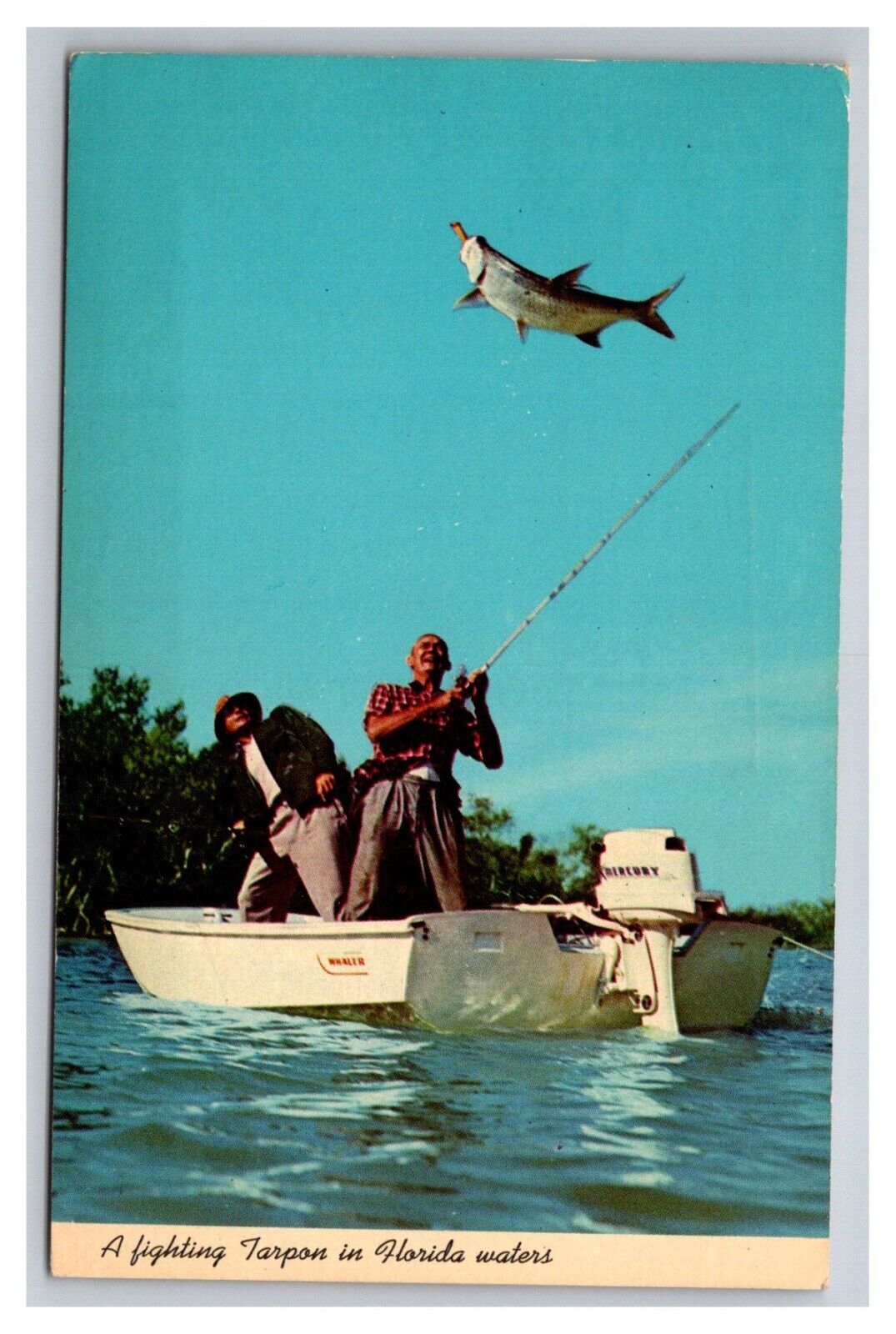 Postcard Everglades National Park Florida Fishermen and Tarpon