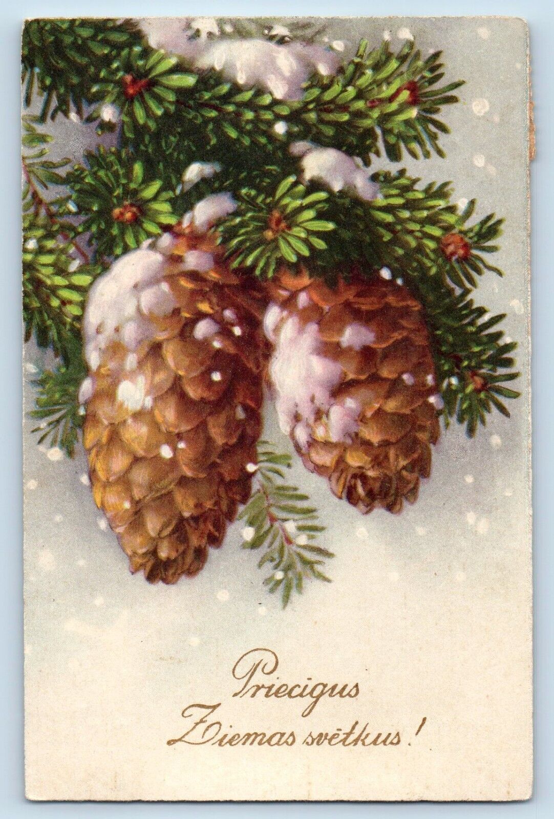 Latvia Postcard Christmas Pinecone Snowfall Winter Scene c1910's Antique Posted