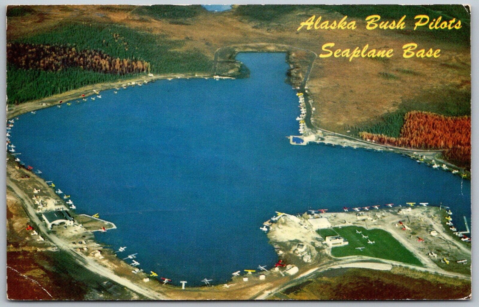 Spenard Alaska 1960 Postcard Lake Hood Alaska Bush Pilots Seaplane Base Planes