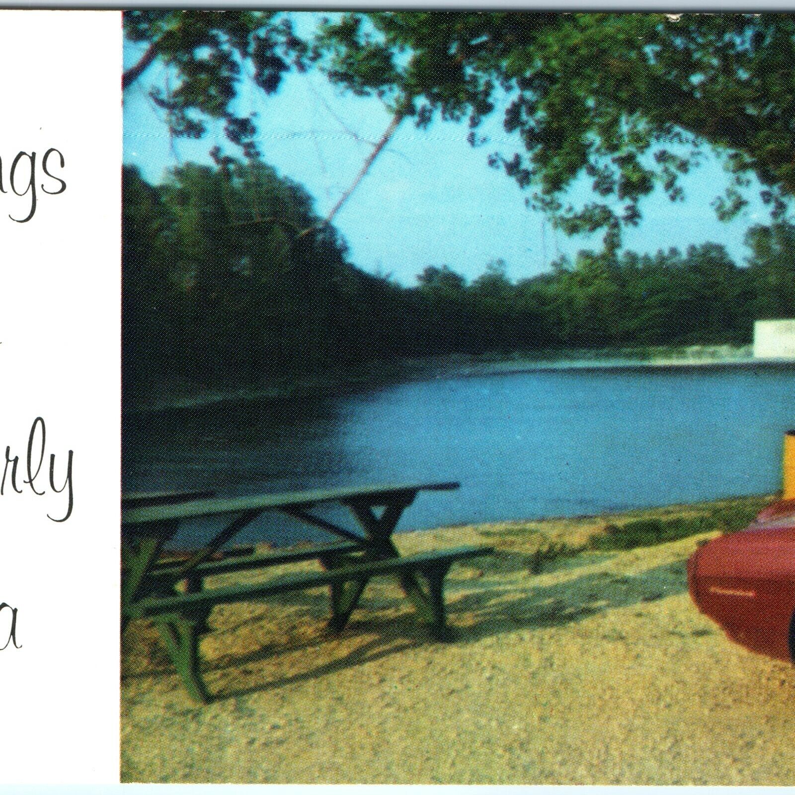c1910s Waverly IA Greetings Postcard Three Rivers Park Inside Cedar Car Tree A46