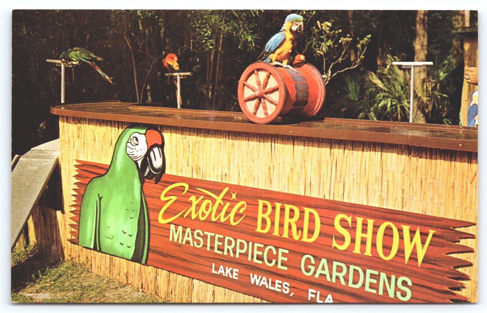 FL Lake Wales, Masterpiece Gardens, Exotic Bird Show, Chrome Unposted
