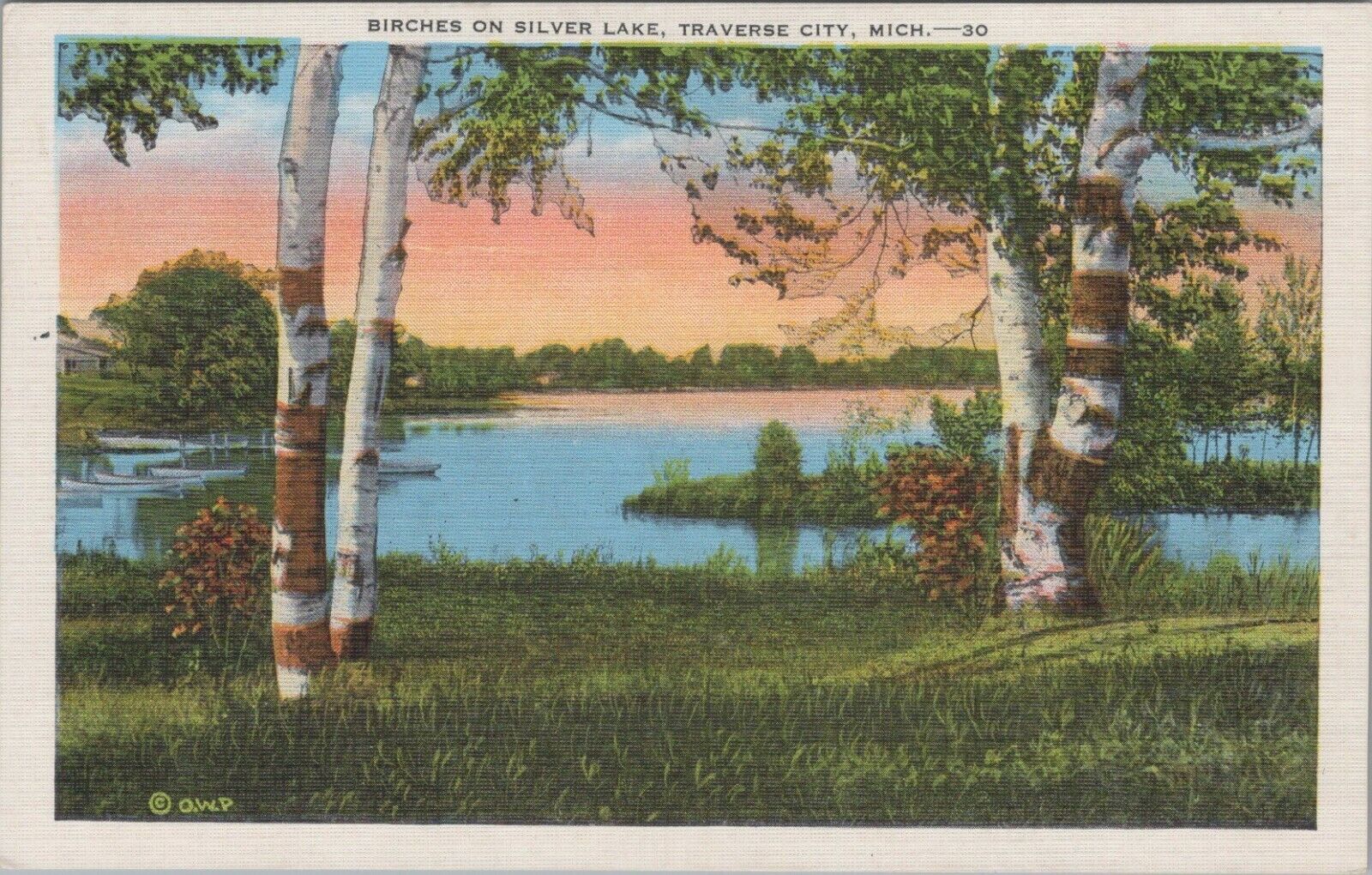 Birches On Silver Lake Traverse City Michigan Linen Vintage Post Card