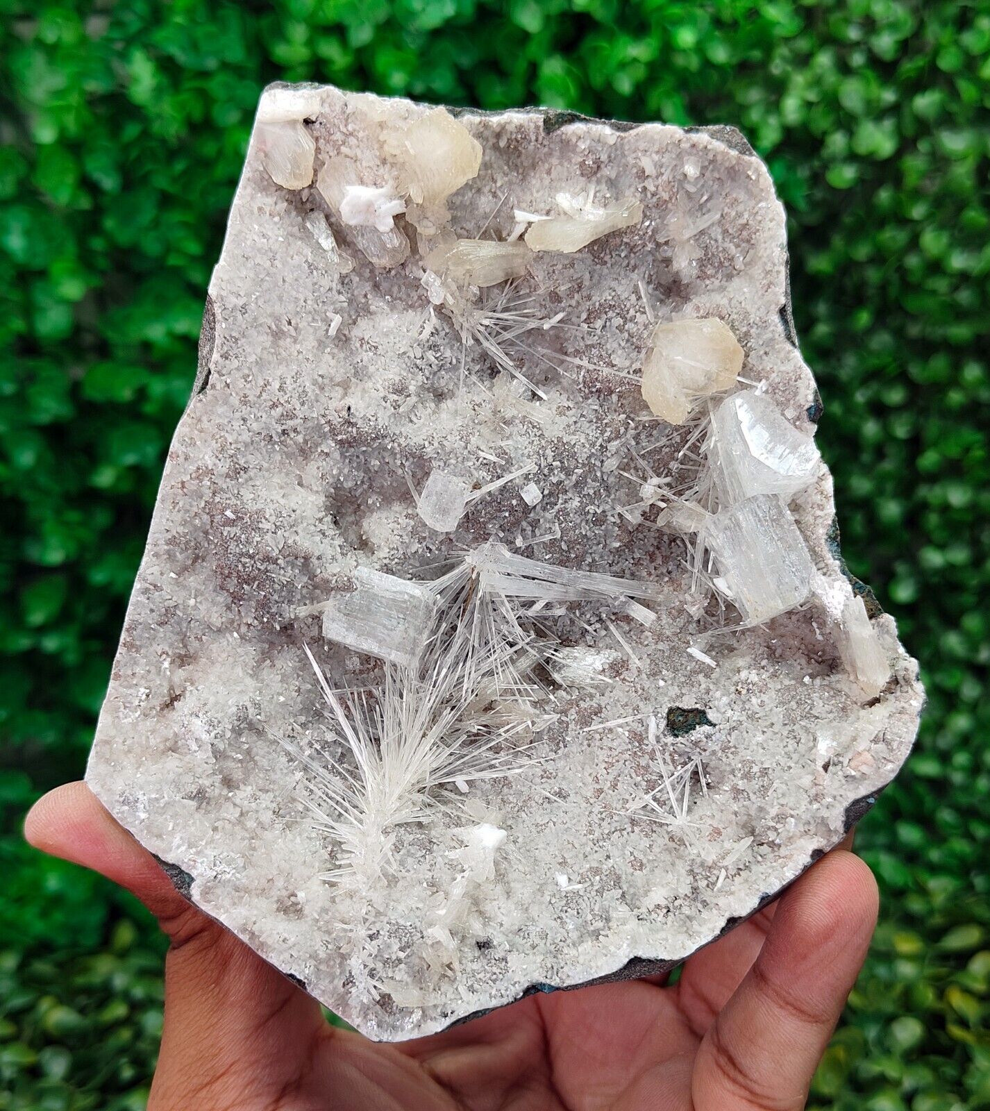 Natural Rare Scolecite, Apophyllite & Stilbite on Chalcedony Minerals #E391