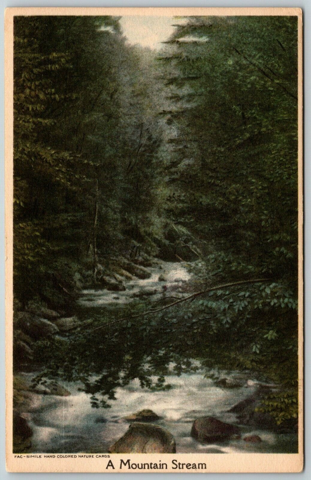 A Mountain Stream - Postcard