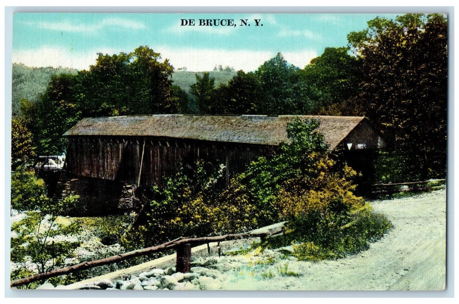 c1910s Covered Bridge Roadside View De Bruce New York NY Unposted Trees Postcard