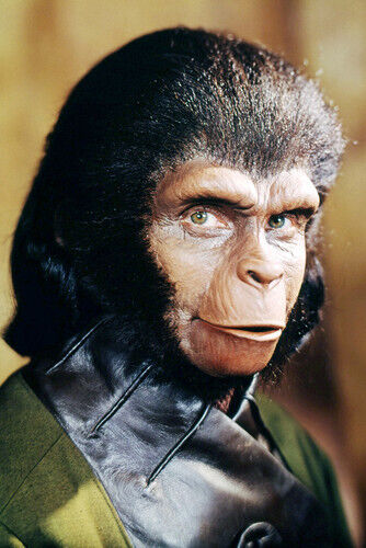 Kim Hunter in Planet of the Apes 24x36 Poster