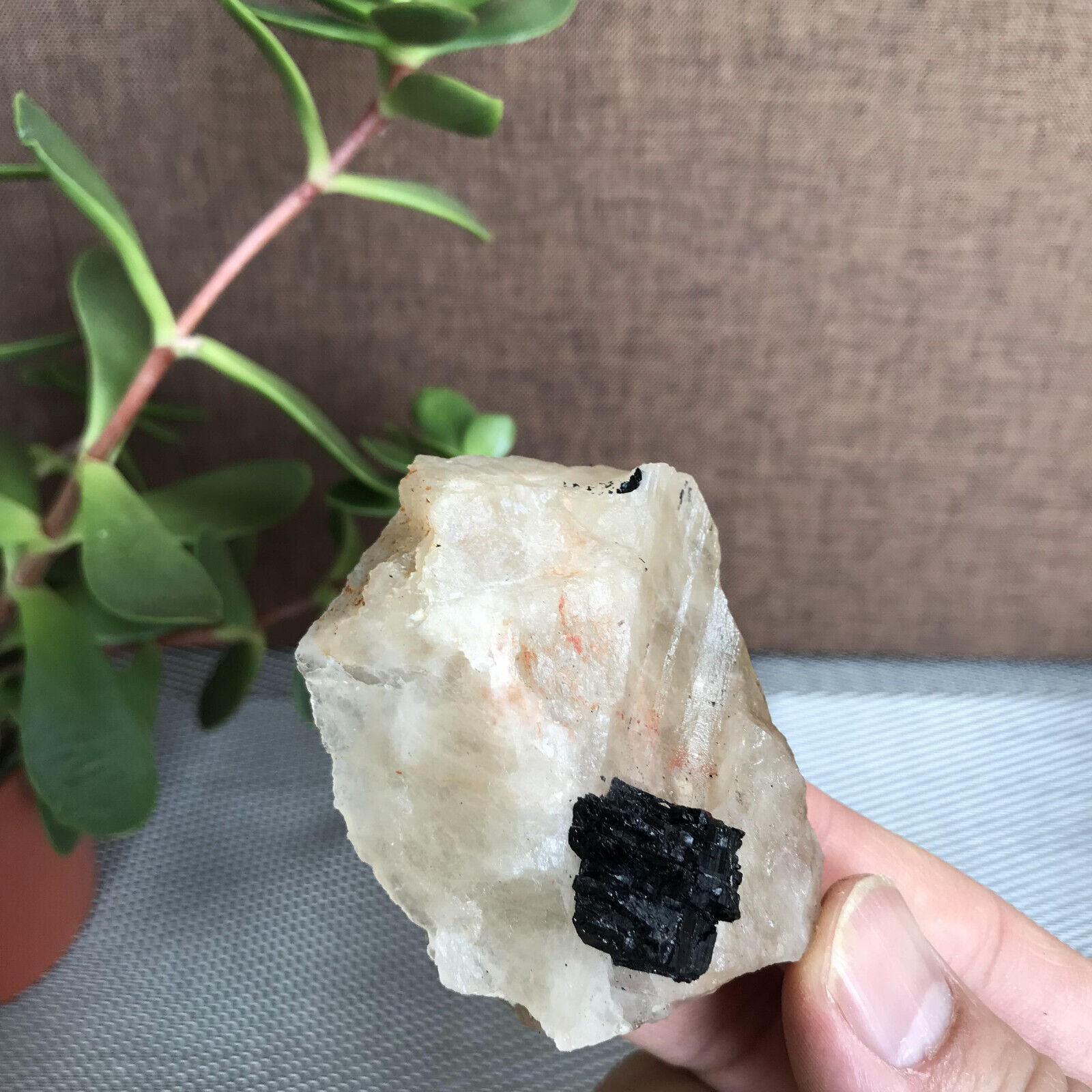 Natural Beautiful Black tourmaline Quartz specimen Crystal Healing Stone A1123