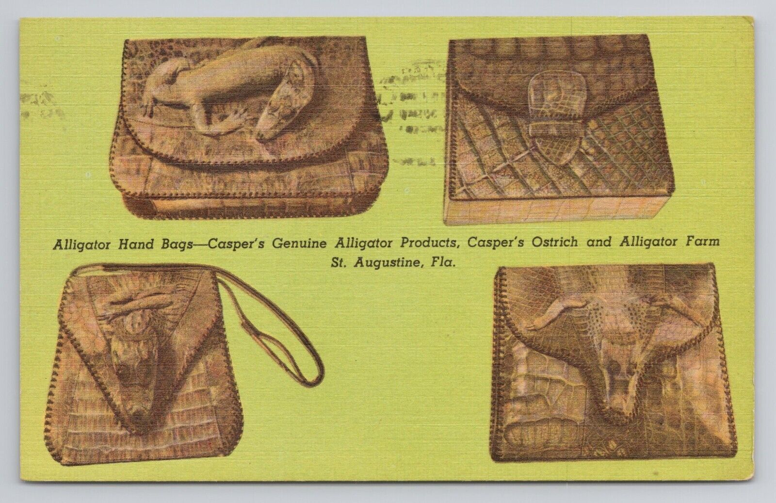 Postcard Casper's Genuine Alligator Products St Augustine Florida 1955