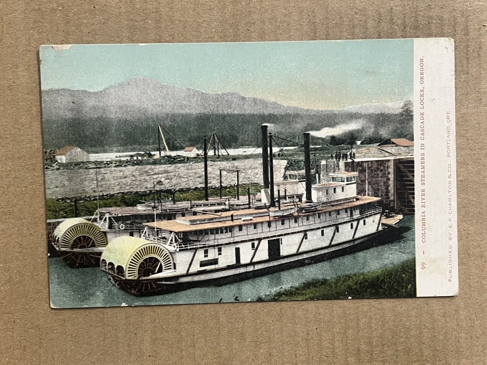 Postcard Oregon OR Columbia River Steamer Boat Cascade Locks Vintage UDB PC