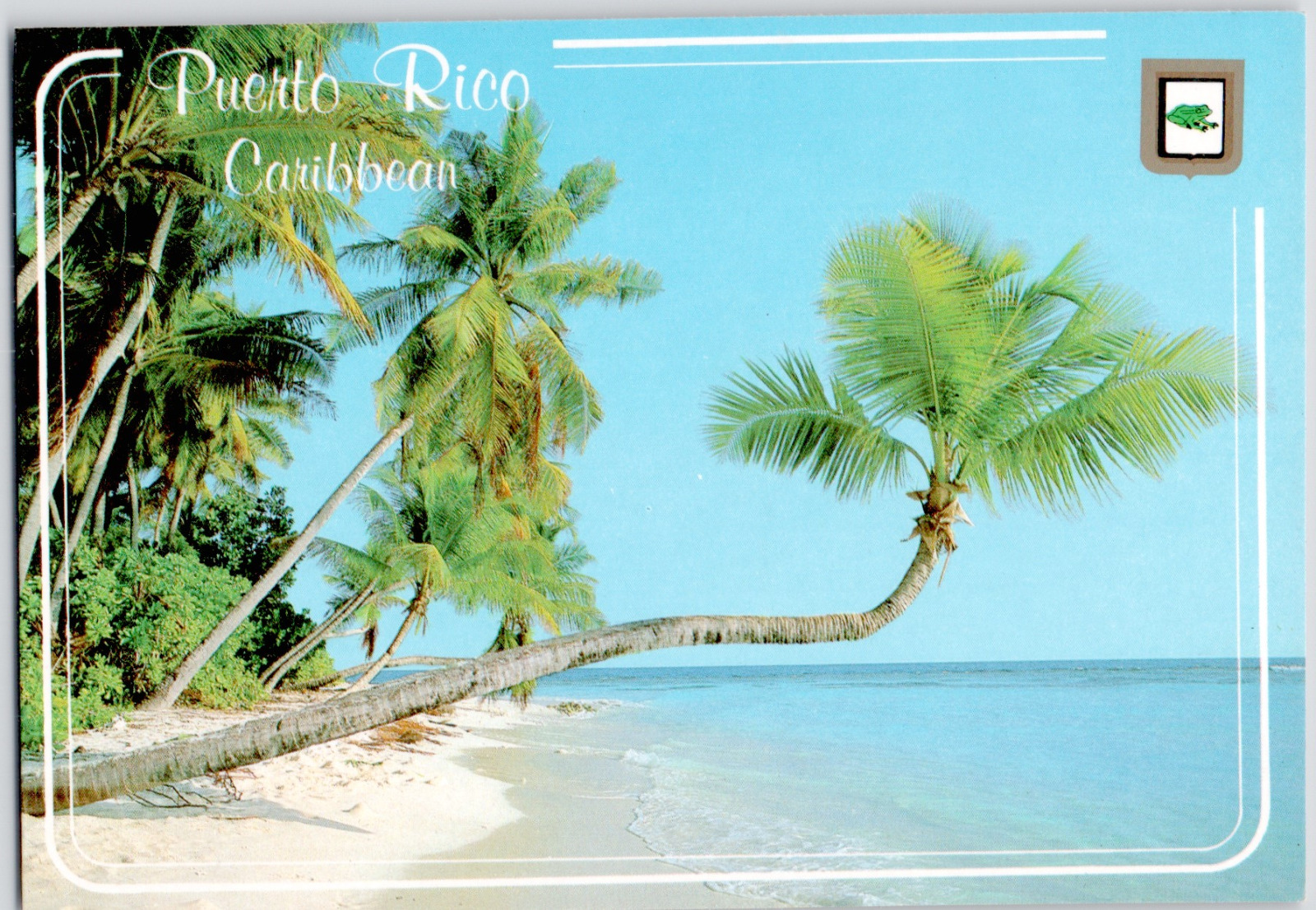Puerto Rico Caribbean Tropical Island PR Palm Trees Beach Blue Water Postcard