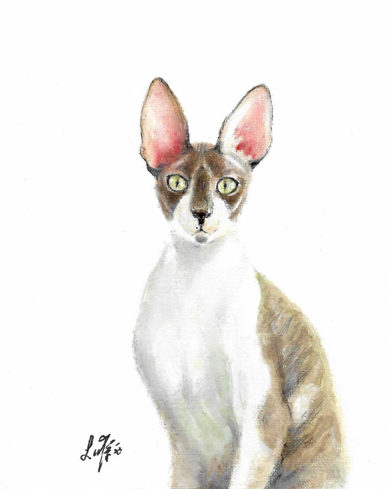 ✿ ORIGINAL Oil Cat Portrait Painting CORNISH REX Artist Signed Artwork on Canvas