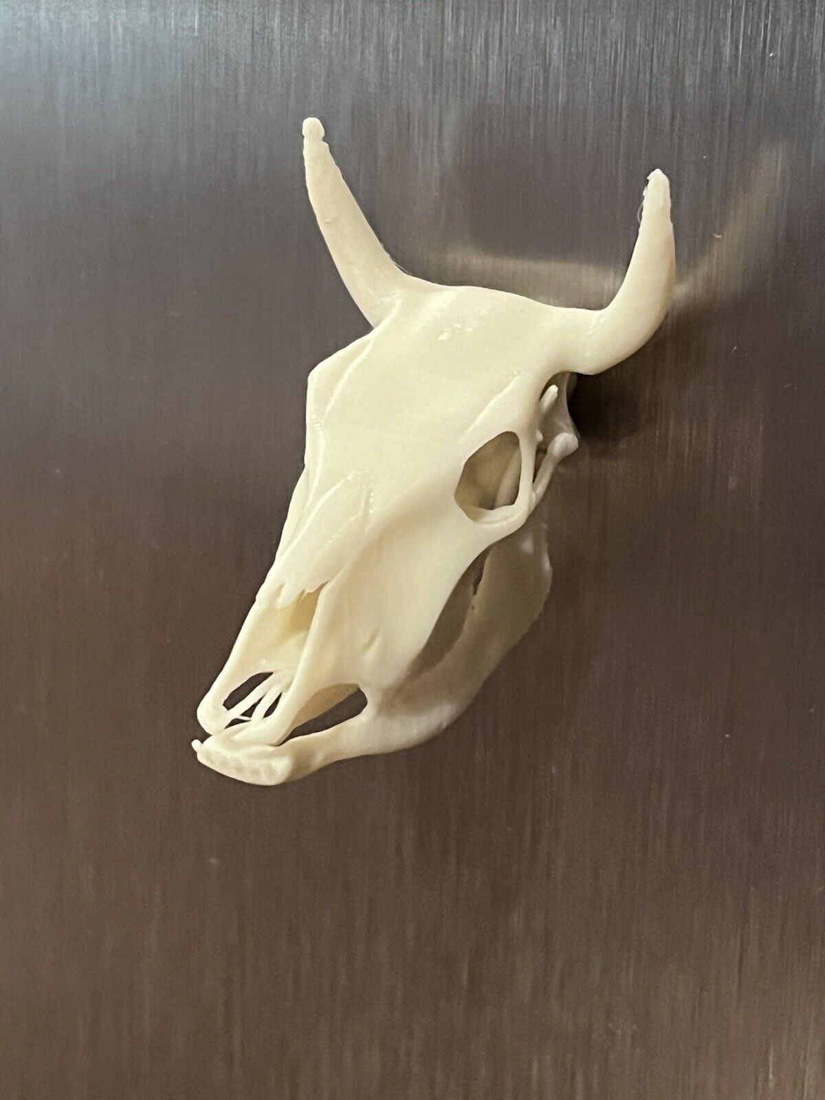 Original 3D Printed Cow Skull Magnet