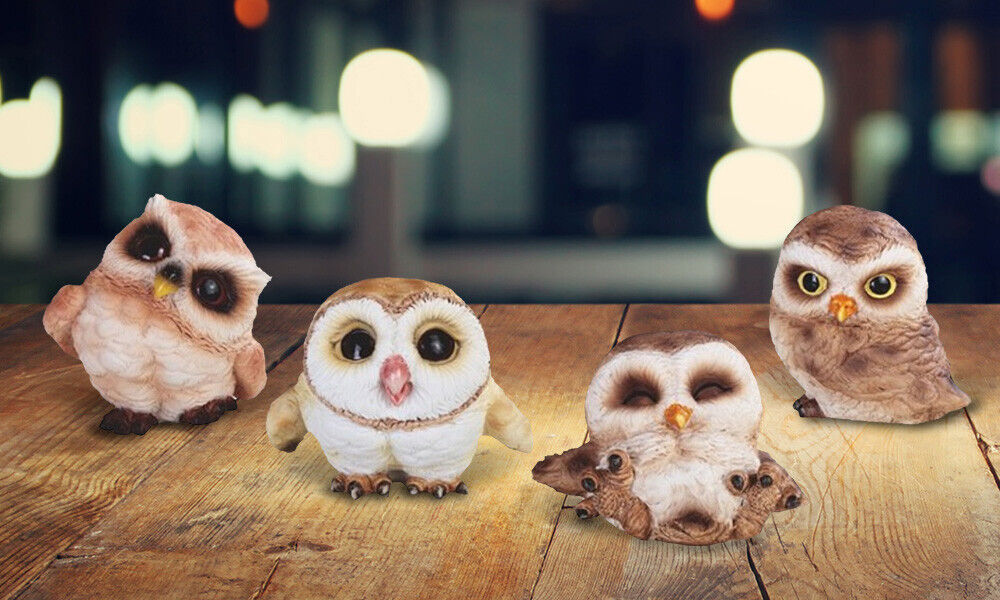 4-PC Cute Owl in Different Poses 3\