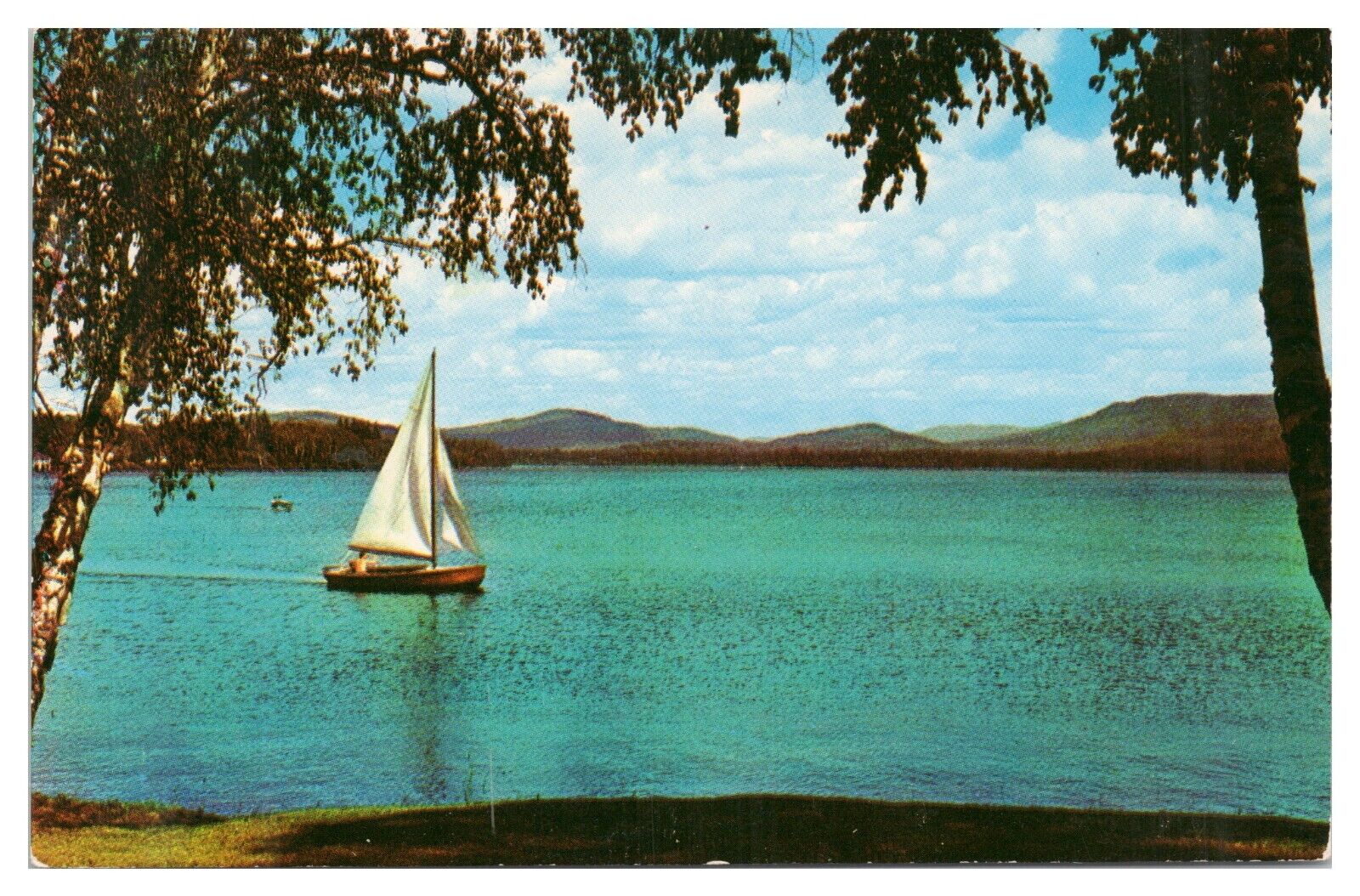 Vintage Sailing on Upper Saranac Lake Saranac Inn NY Postcard Unposted Chrome