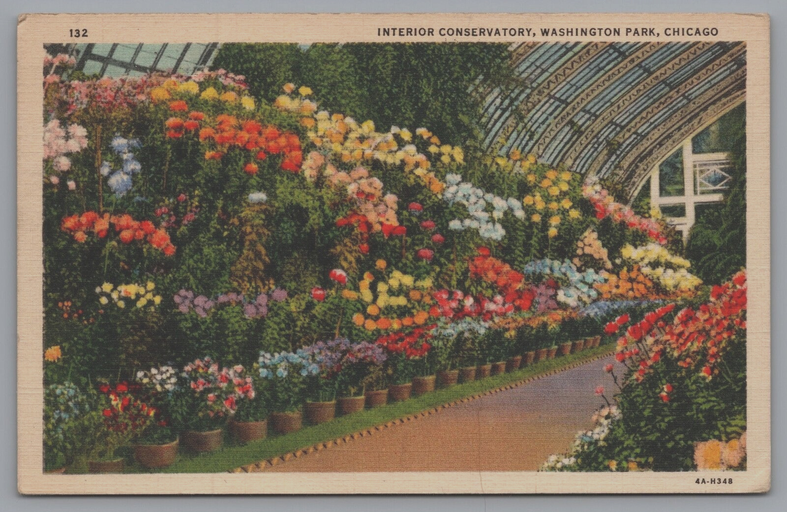 Interior Conservatory Washington Park Chicago IL Vintage Postcard c1936