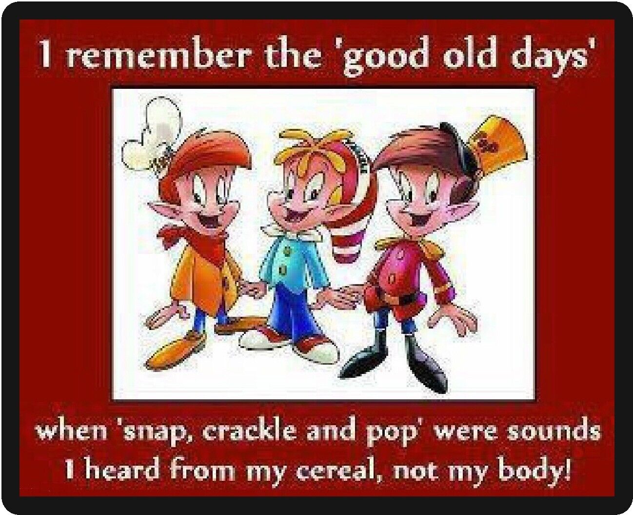 Funny Humor I Remembered The Good Old Days Refrigerator Magnet  