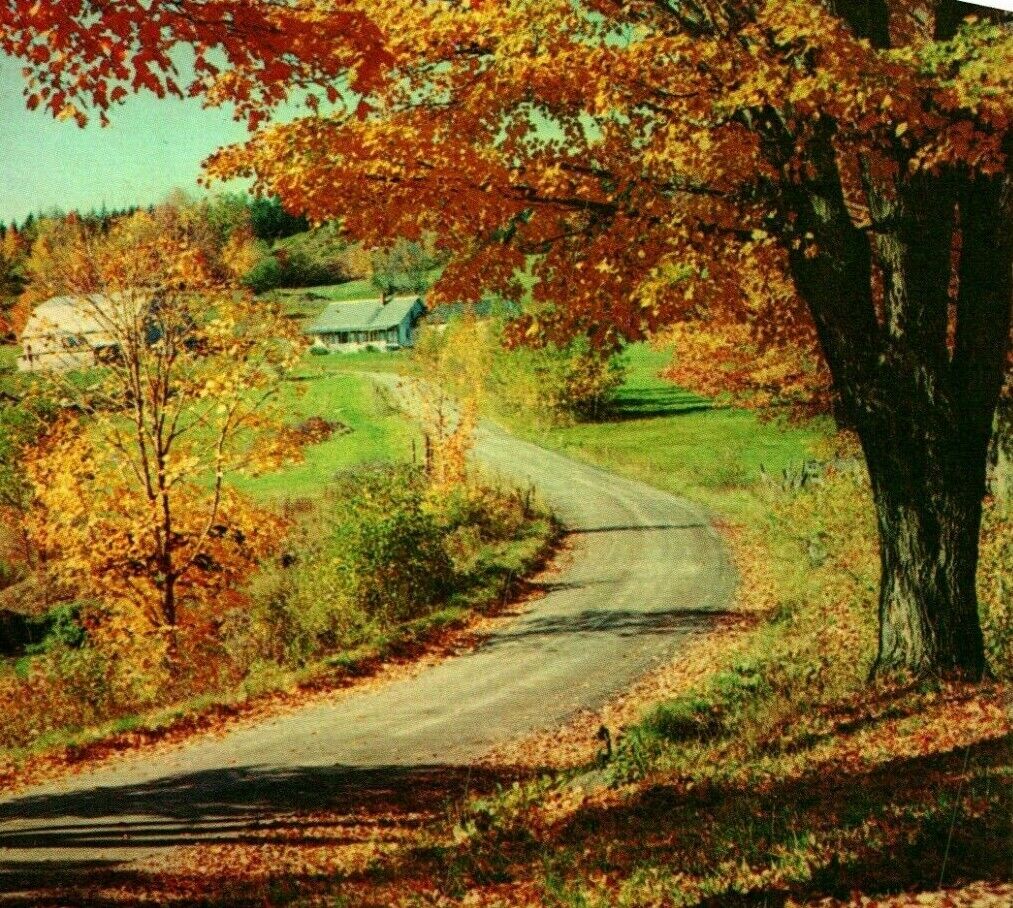 Vtg Chrome Postcard Brookton Maine ME Greetings From Winding Road 1970