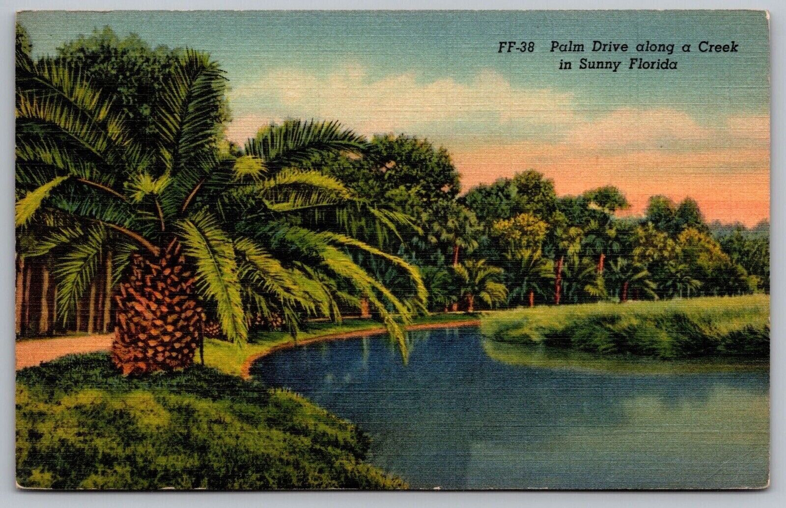 Palm Drive Along Creek Sunny Florida Fl Linen Postcard