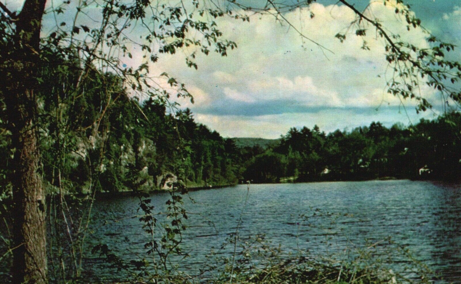 Postcard MI Greetings from Roscommon Water Scene Posted 1956 Vintage PC H3154